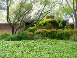 http://cs.justinrwood.com/files/dimgs/thumb_2x300_5_46_353.jpg